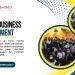 DIGITAL-BUSINESS-DEVELOPMENT